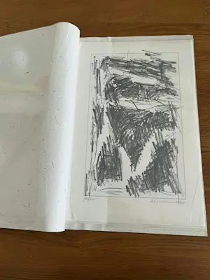 Jan Schoonhoven - COMPLETE MAP FORMATIE MET 12 GESIGNEERDE ZEEFDRUKKEN kopen? Bied vanaf 2000!