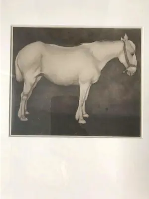 Jan Mankes - Originele Heliogravure Wit Paard 1923 kopen? Bied vanaf 85!