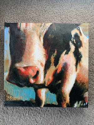 Peter Donkersloot - Koe vriendelijke uitstraling kopen? Bied vanaf 125!