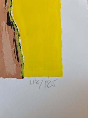 Peter Klashorst - Kleurenzeefdruk - MY YELLOW PRINCESS - Handgesigneerd - 125 ex. kopen? Bied vanaf 1!