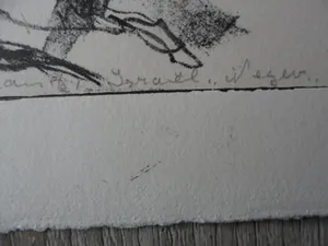 Leo Hofman - Ets, titel, Negev woestijn Israël. kopen? Bied vanaf 15!