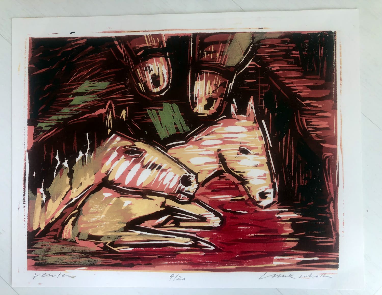 Luuk Scholten - Veulen kopen? Bied vanaf 50!