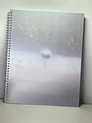 Steven MEISEL - Madonna Sex kopen? Bied vanaf 225!