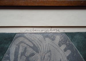 Kees Okx - Metamorphose kopen? Bied vanaf 25!