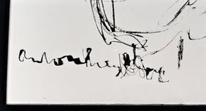 Anton Heyboer - Kip 1998 kopen? Bied vanaf 140!