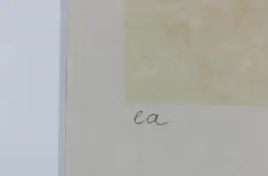 Ellen van Toor - Zeefdruk, Herfstschaal - Ingelijst kopen? Bied vanaf 30!