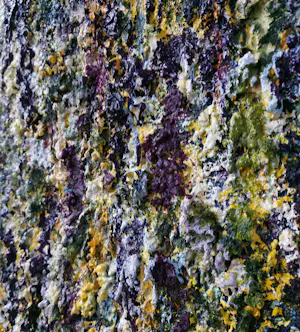 Gerard Strik - Zonder titel kopen? Bied vanaf 620!