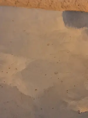 Meeuwis van Buuren - Authentiek Zeegezicht Meeuwis van Buuren (1902-1992) – Herkomst Gebr. Koch kopen? Bied vanaf 110!