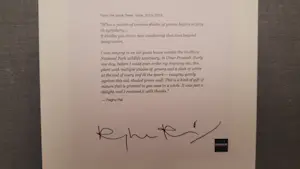 Raghu Rai - Trees - Magnum photos limited edition kopen? Bied vanaf 250!