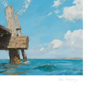 Mr Strange - Dive In! Boys! kopen? Bied vanaf 80!