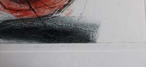 Hans Vredegoor - Black-Light kopen? Bied vanaf 80!