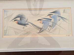 Nicolaas Rin - Vogelvlucht kopen? Bied vanaf 45!