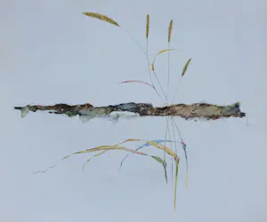 Melle Oldeboerrigter - Portfolio met 14 litho's kopen? Bied vanaf 75!