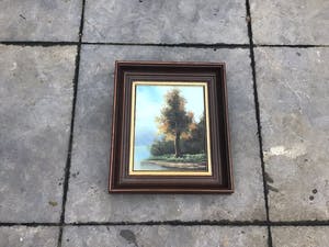 Niet of onleesbaar gesigneerd - Boom. kopen? Bied vanaf 1!