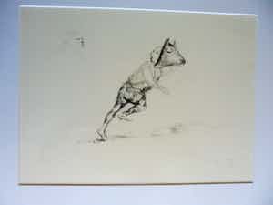 Han Mes - Litho - Prent 190 - Masker verkocht voor € 60!