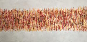 John Foppen - Rapsody In Gold + Red. ...... # K 04 . XL. GROOT. kopen? Bied vanaf 179!