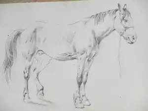 Frans Lebret - Staand paard - Tekening verkauft für € 45!