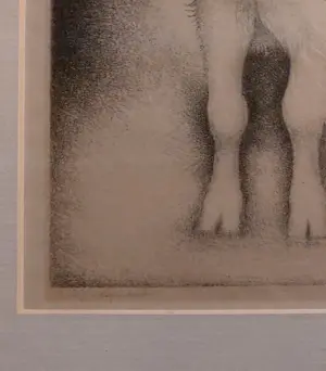 Jan Wittenberg - Bokje, eigen druk kopen? Bied vanaf 175!