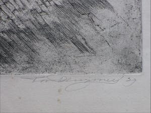 Toon Pluymers - Boerenerf Zeeland - Ets kopen? Bied vanaf 50!