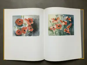 Fon Klement - Aquarellen - hardcover boek kopen? Bied vanaf 20!