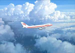 Lam van 't Hof - B442 - Vliegtuig Martinair verkocht voor € 300!