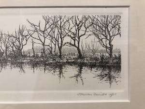 Harmen Kooistra - Bomenrij lang waterkant kopen? Bied vanaf 22!