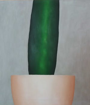 Jet van Oosten - Kale Cactus ii (groot werk) kopen? Bied vanaf 100!