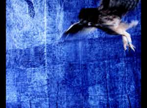 Jan Fabre - Jan Fabre - Ciba Chrome print: Often I feel betrayed - 1991 verkocht voor € 995!