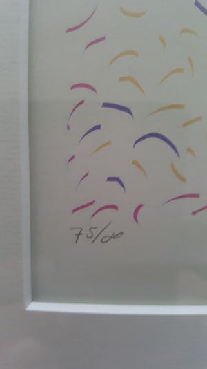 Marc Otte - vuurwerkramp kopen? Bied vanaf 1!