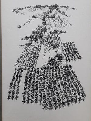 Ank Overweel - courcelles sur trelou. kopen? Bied vanaf 45!