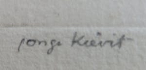 Sjoerd Kuperus - Kievitsjong kopen? Bied vanaf 30!