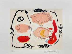 Kees Salentijn - Vier in één vis kopen? Bied vanaf 32!