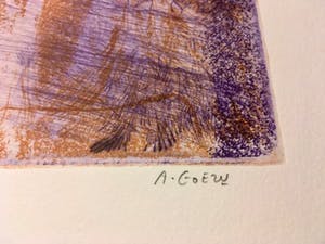 Andre Goezu - L’ Amazone kopen? Bied vanaf 70!