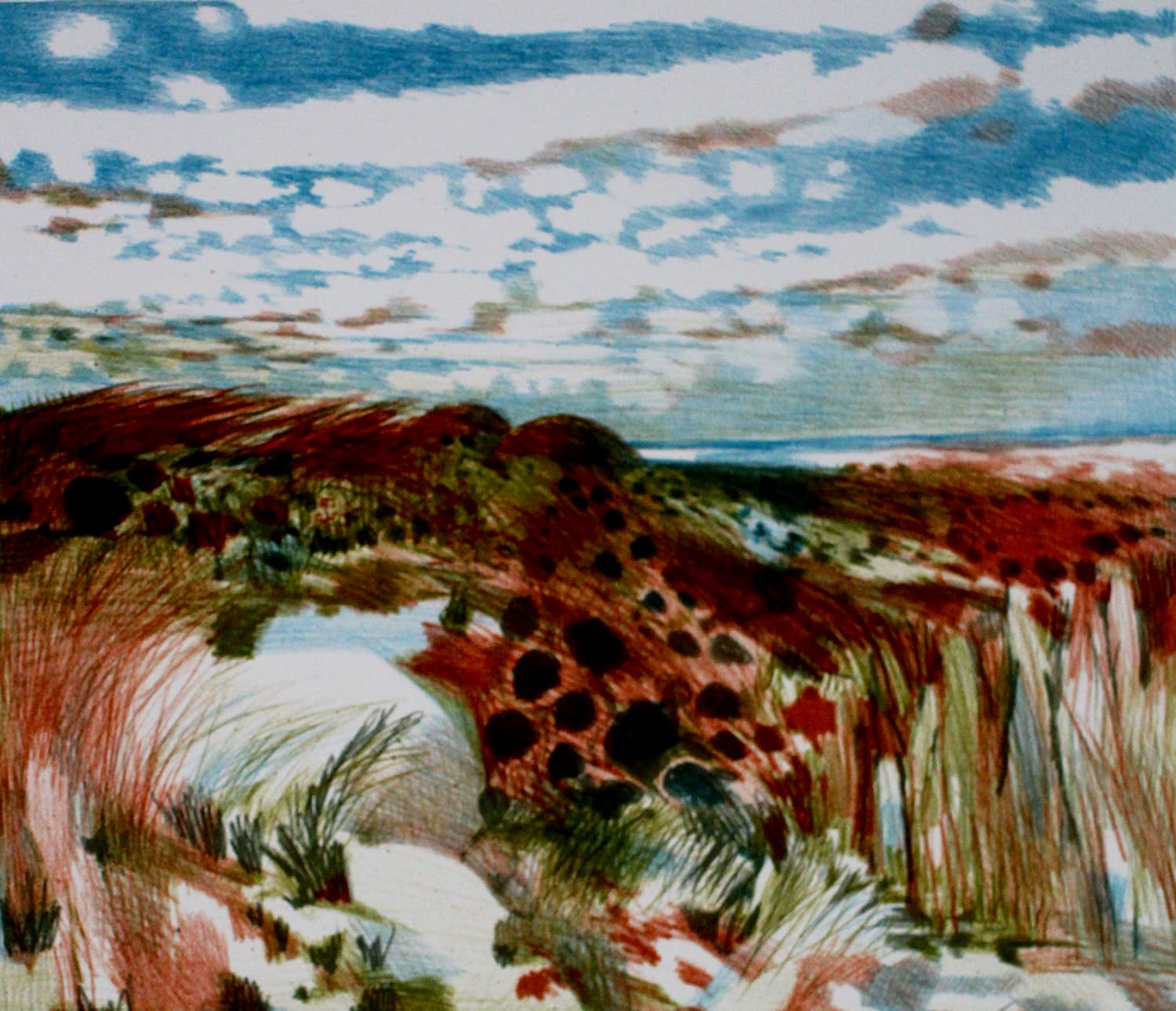 Nicolaas Wijnberg - Litho: duinlandschap - 1984 verkocht voor € 79!