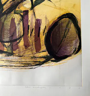 Hans Vredegoor - Gesigneerde kleurenets - 19/35 - 1988 - "Intrige" kopen? Bied vanaf 65!