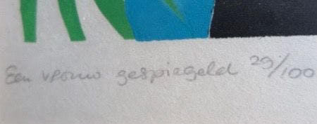 Irene van den Bos - Een vrouw gespiegeld  kopen? Bied vanaf 1!