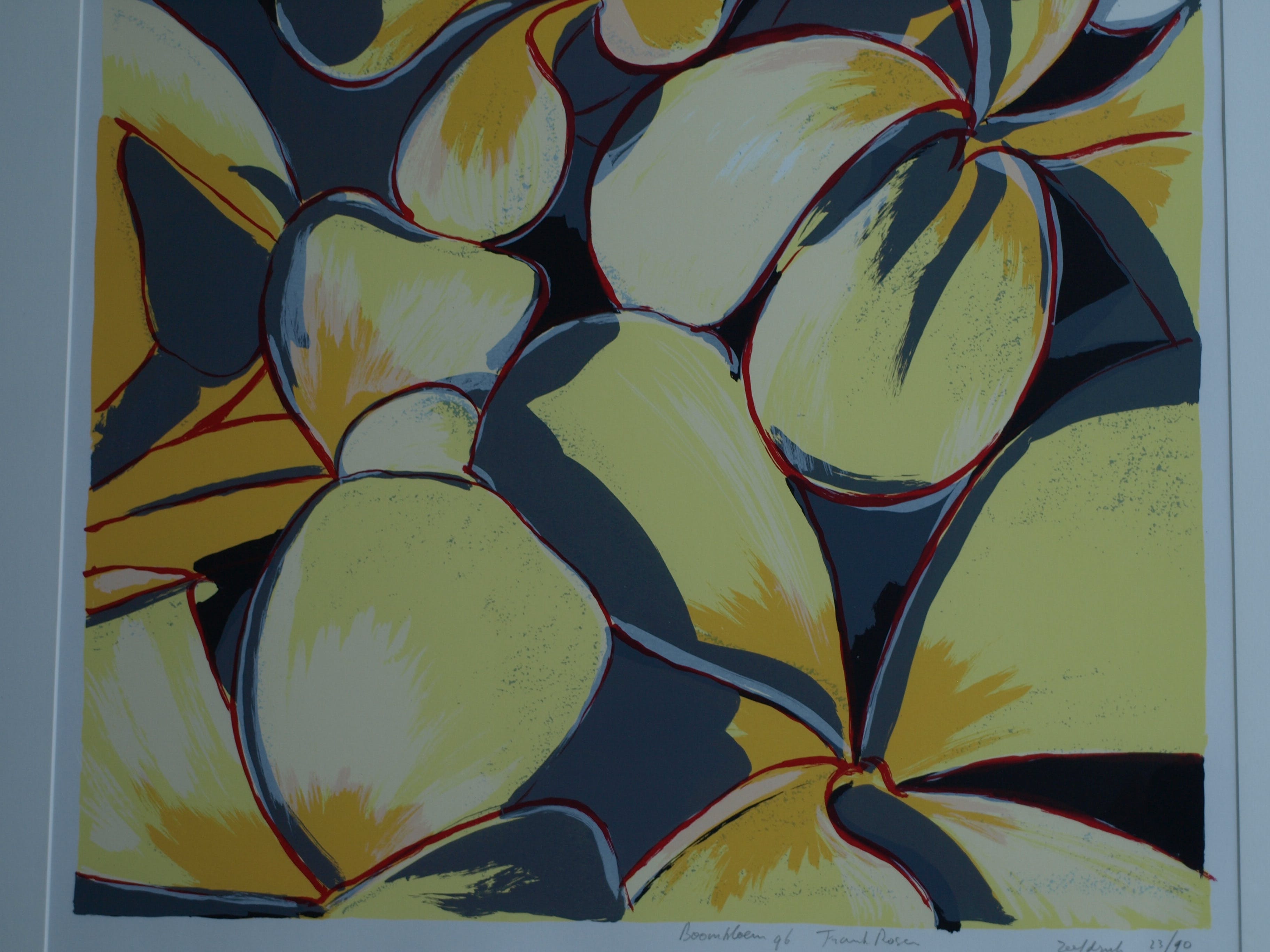 Frank Rosen - Zeefdruk , Boombloem - gesigneerd & ingelijst - 1996  kopen? Bied vanaf 50!