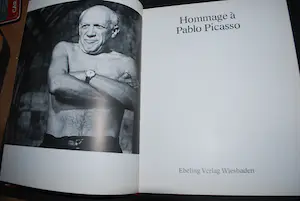 Pablo Picasso - Kunstboek met kleurenlitho kopen? Bied vanaf 125!
