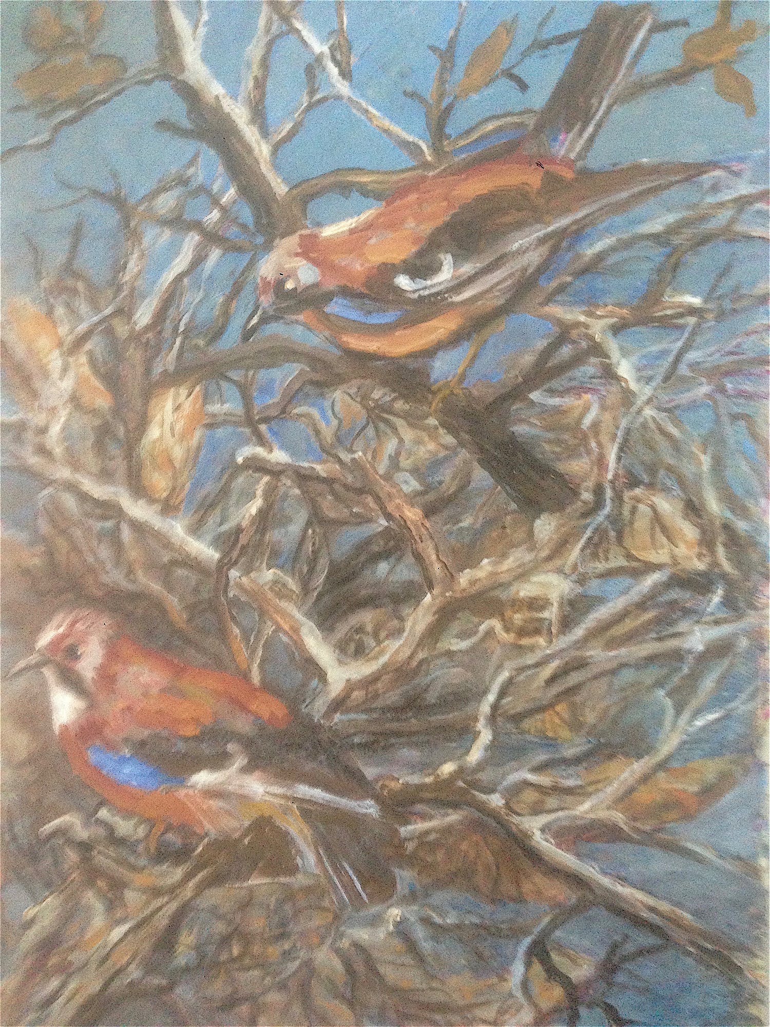 Cornel Kwint (1899-1996)