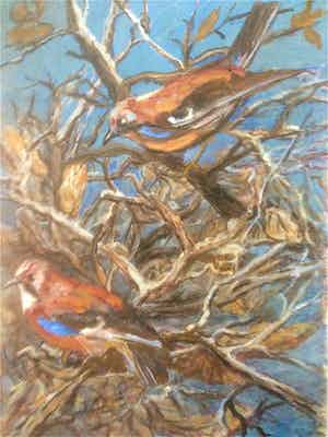 Cornel Kwint - Stille SchreeuwEksters verkocht voor € 35!