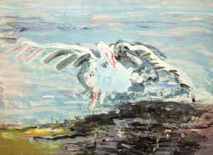 Kees van Bohemen - Zeefdruk, Meeuw verkocht voor € 150!