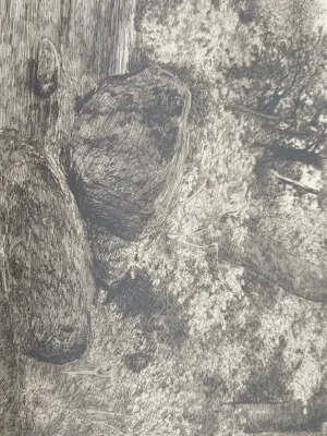 Ernest C. Rost - Waterval kopen? Bied vanaf 30!