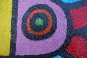 Karen van Noort - Kleurvogel Bianca kopen? Bied vanaf 35!