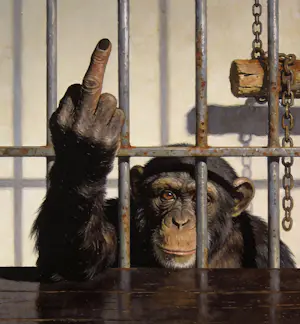 Mr Strange - Rot op! kopen? Bied vanaf 80!