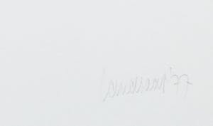 Hans Landsaat - Zeefdruk, Vlaamse weerspiegeling kopen? Bied vanaf 1!