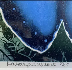 Ries Kleijnen - Optimisme in kleur kopen? Bied vanaf 50!