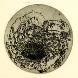Hans Kuyt - ets periode 1965-1970 - gesproten aardappel kopen? Bied vanaf 20!