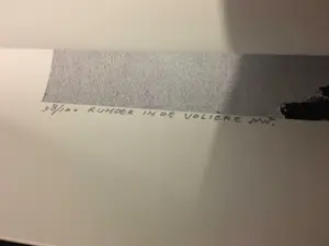 Martin van Wordragen - Rumoer in de Voliere kopen? Bied vanaf 50!