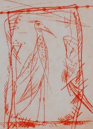 Ko Oosterkerk - Vogel in tuin kopen? Bied vanaf 75!