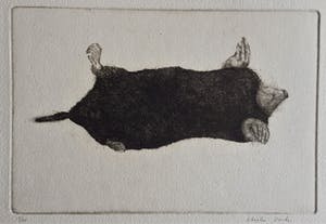 Charles Donker - Een Mol kopen? Bied vanaf 195!